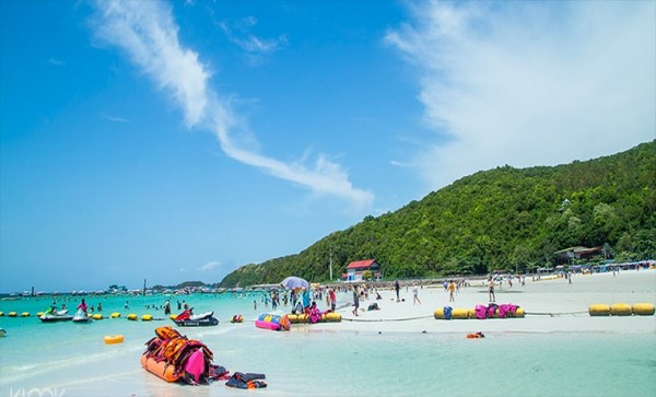 Pattaya Coral Island tour + Indian Lunch + Hotel Pick Up + Hotel Drop Off