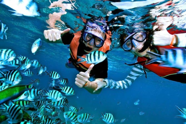 Koh Samui Koh Phangan Sight Seeing & Snorkeling By Speedboat + Hotel Pick Up + Hotel Drop Off