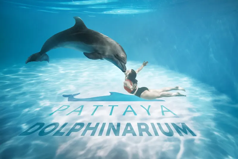 Pattaya Dolphinarium Ticket